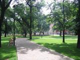 Kaizlovy Sady Park in Prague Karlin kaizlovy-sady-prague-karlin.jpg